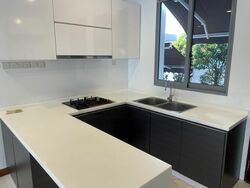 Radiance @ Bukit Timah (D21), Terrace #474723801